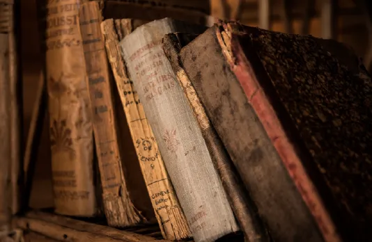 llibres